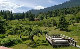 Cherry Cove Cabins